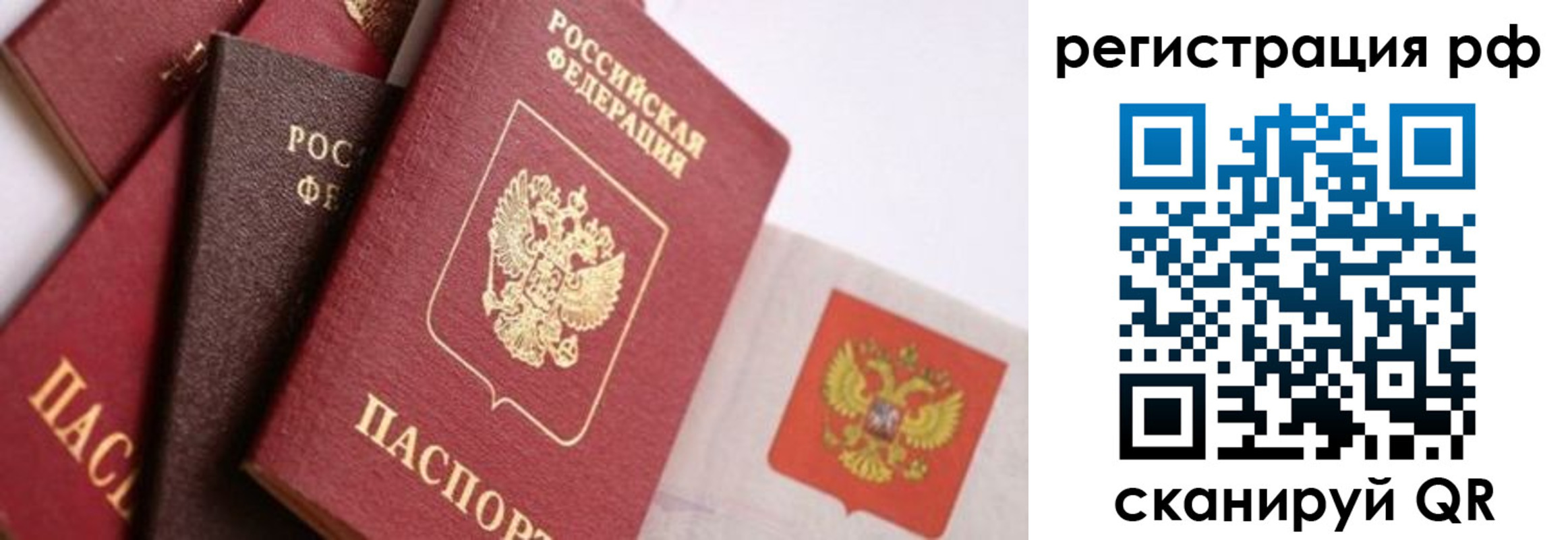 прописка гарантия в Тимашёвске